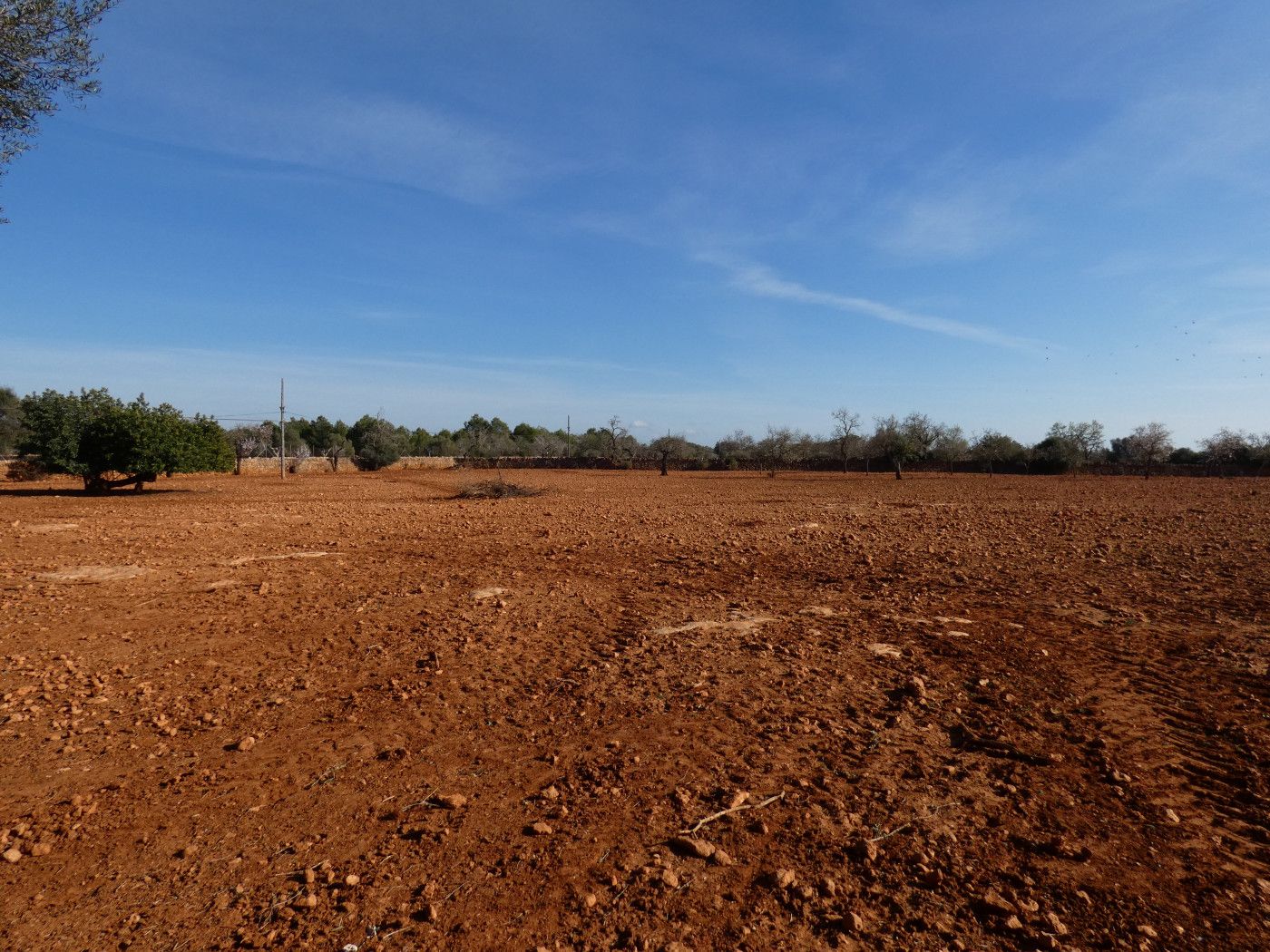Finca rústica en venda en Llucmajor