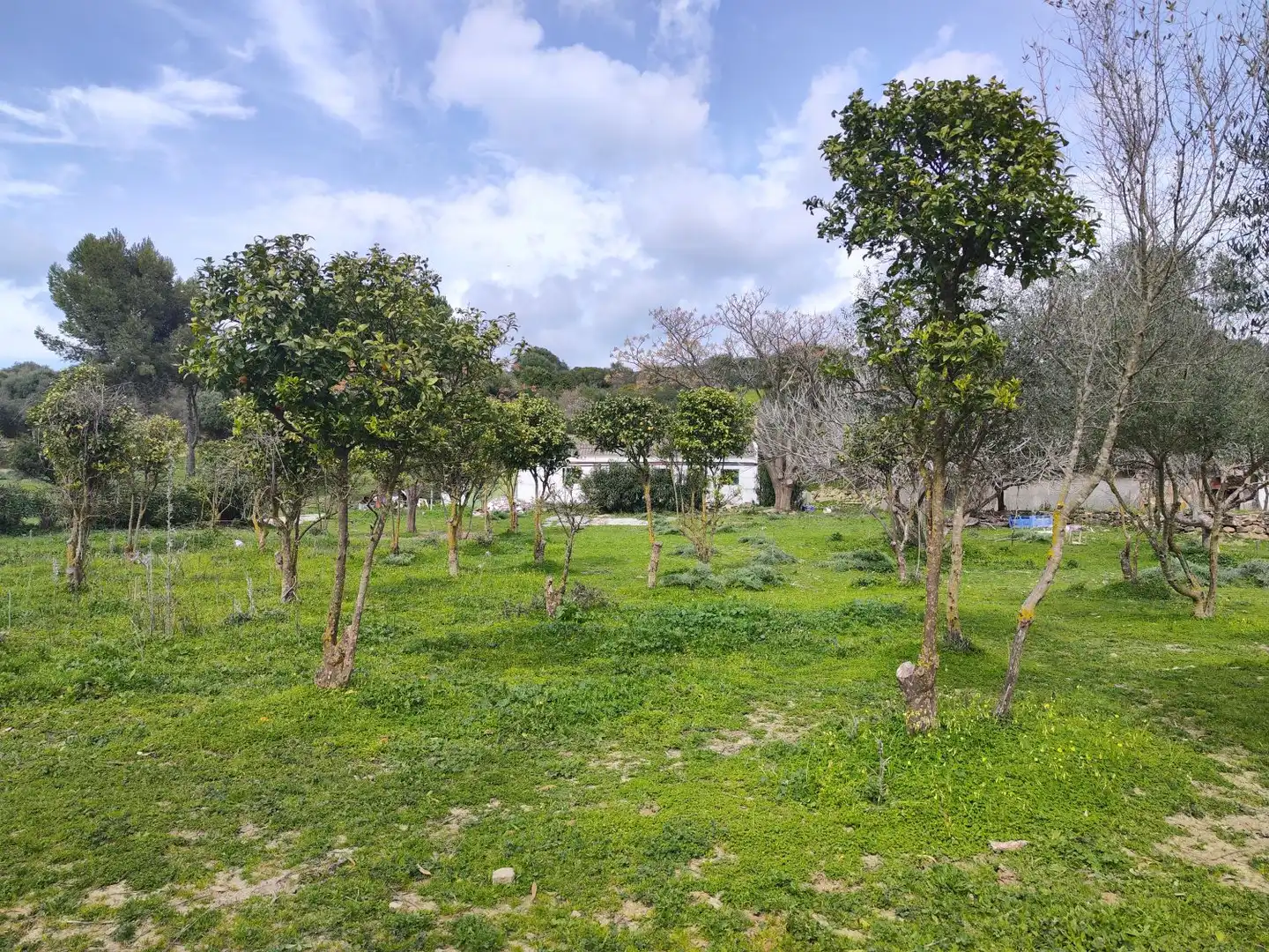 Maison rustique à vendre à San Martín del Tesorillo, imagen 3