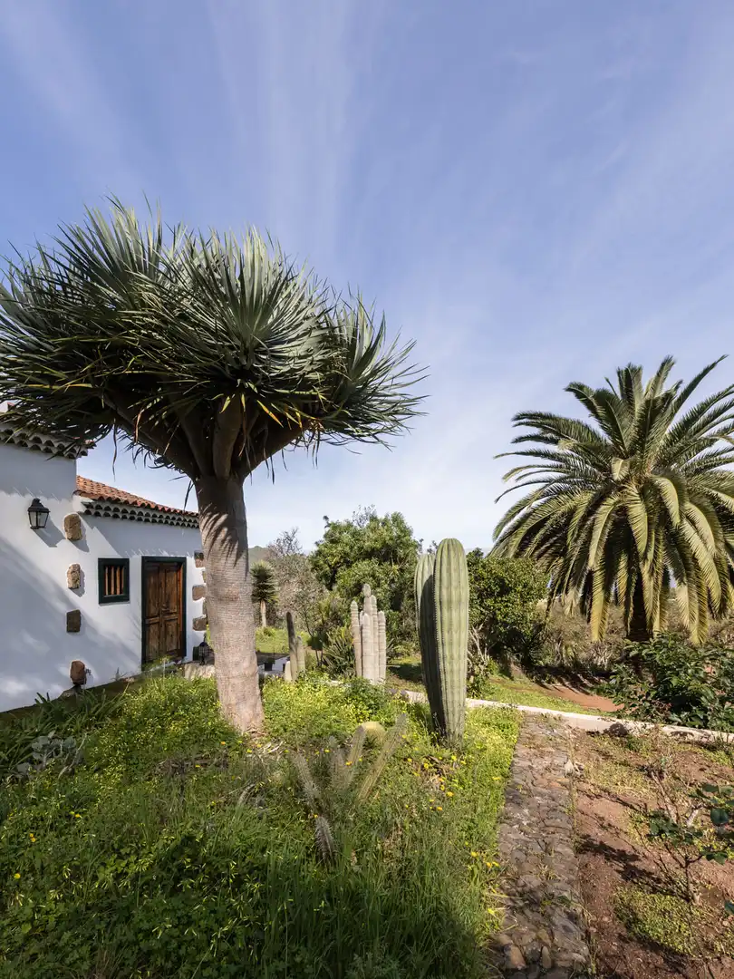 Jardín de Finca rústica en venta en Tegueste con Jardín privado, Terraza y Horno