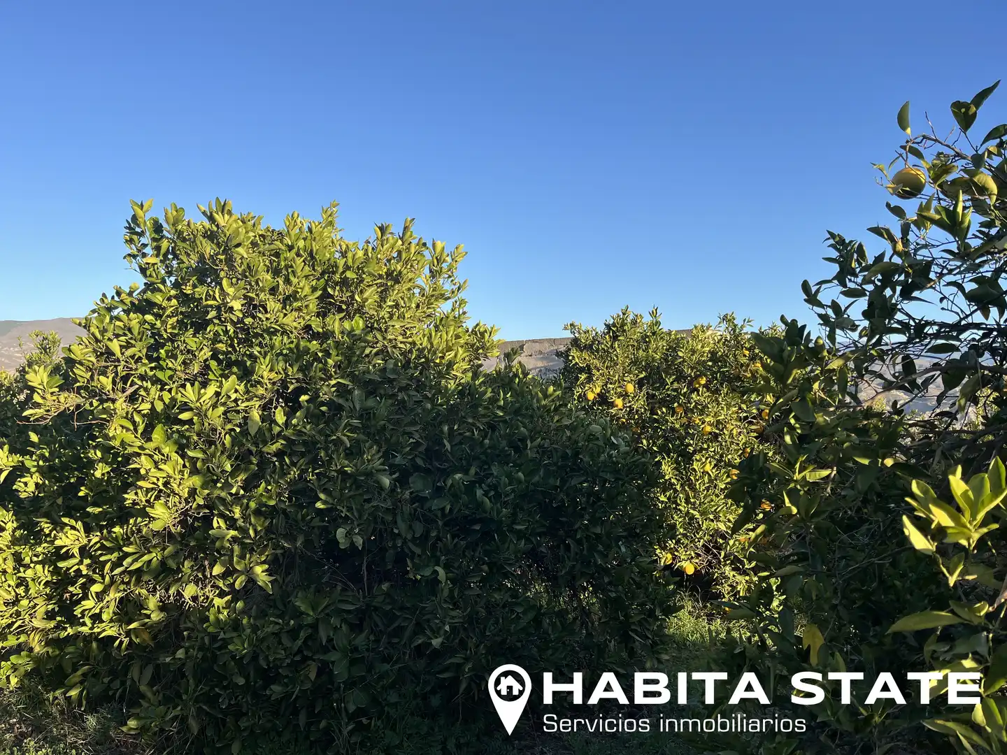 Terreno en venta en Íllar