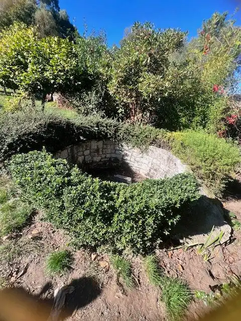 Jardí de Casa o xalet en venda en Friol amb Jardí privat, Terrassa i Moblat