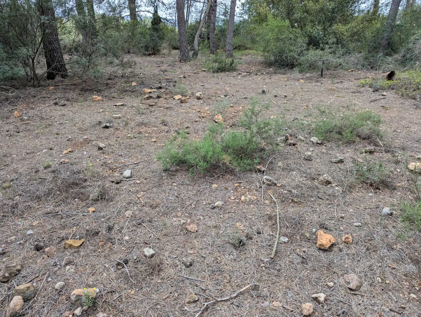 Terreno rustico in vendita a Camino 2 39, imagen 4