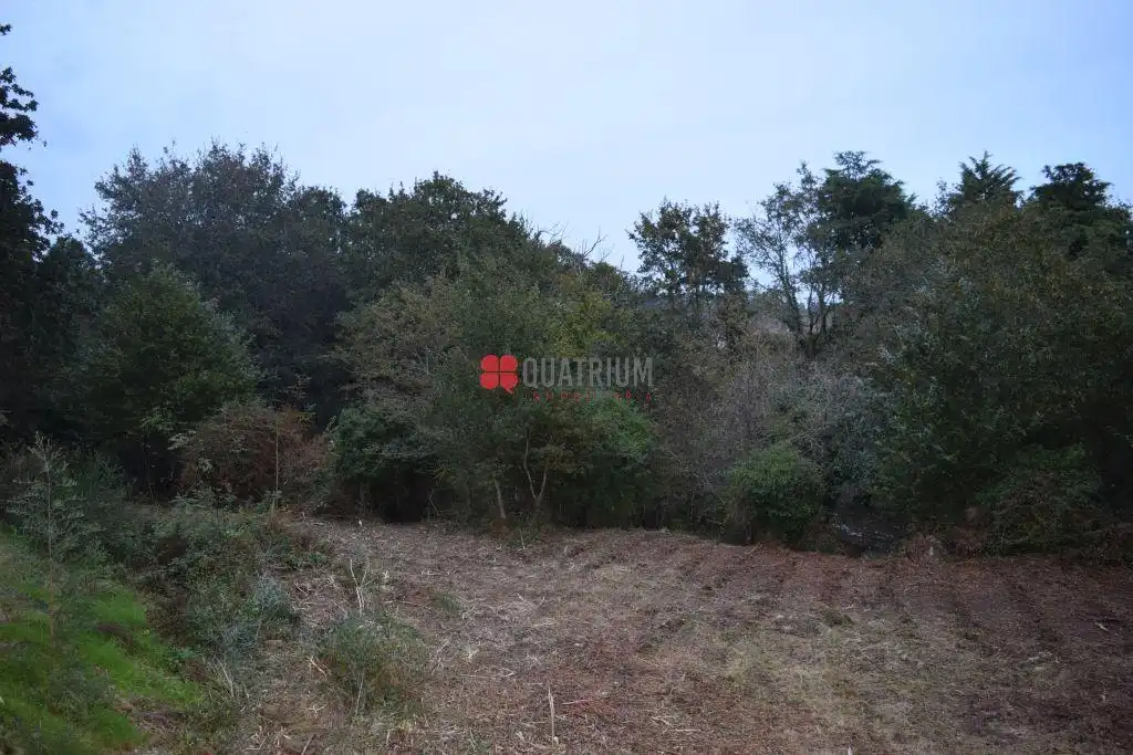 Casa o chalet en venta en Santiago de Compostela  con Jardín privado