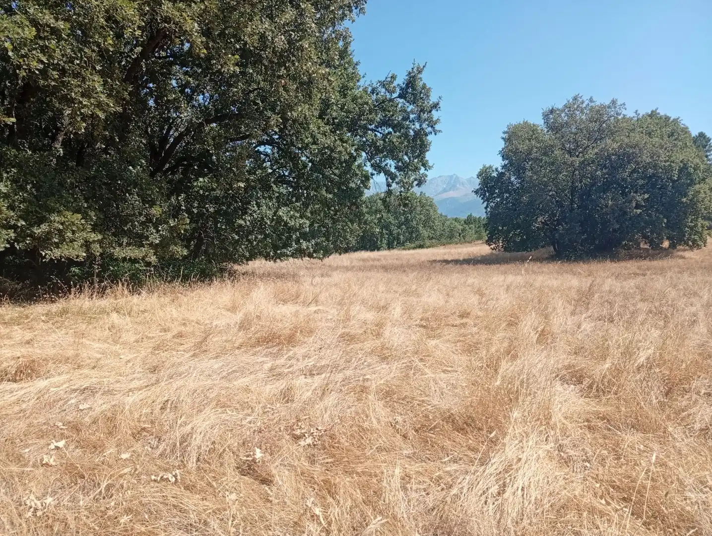 Terreni e lotti in vendita a Villanueva de la Vera, imagen 45