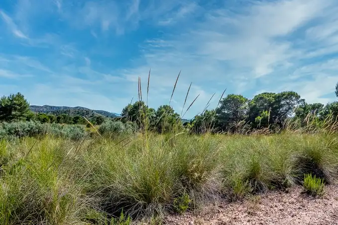 Rustikales Grundstück zum Verkauf in Paraje Fuente del Peral y Rincón del Majariego, Plg 6-7, imagen 6