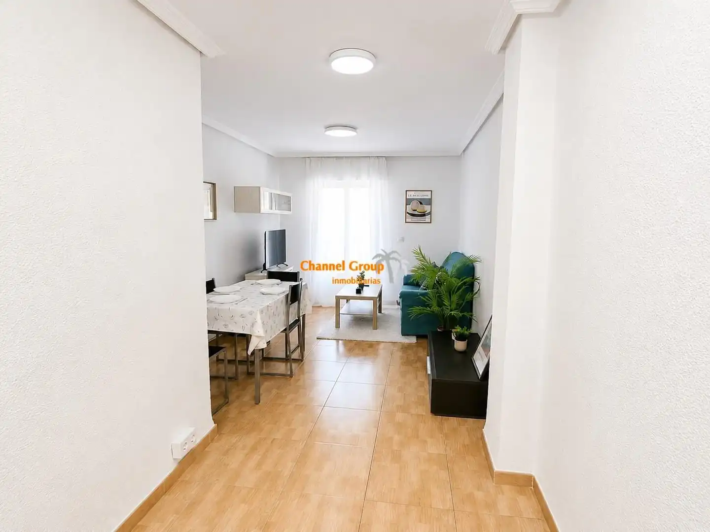 Sala d'estar de Loft de lloguer en Elche / Elx amb Moblat i Balcó