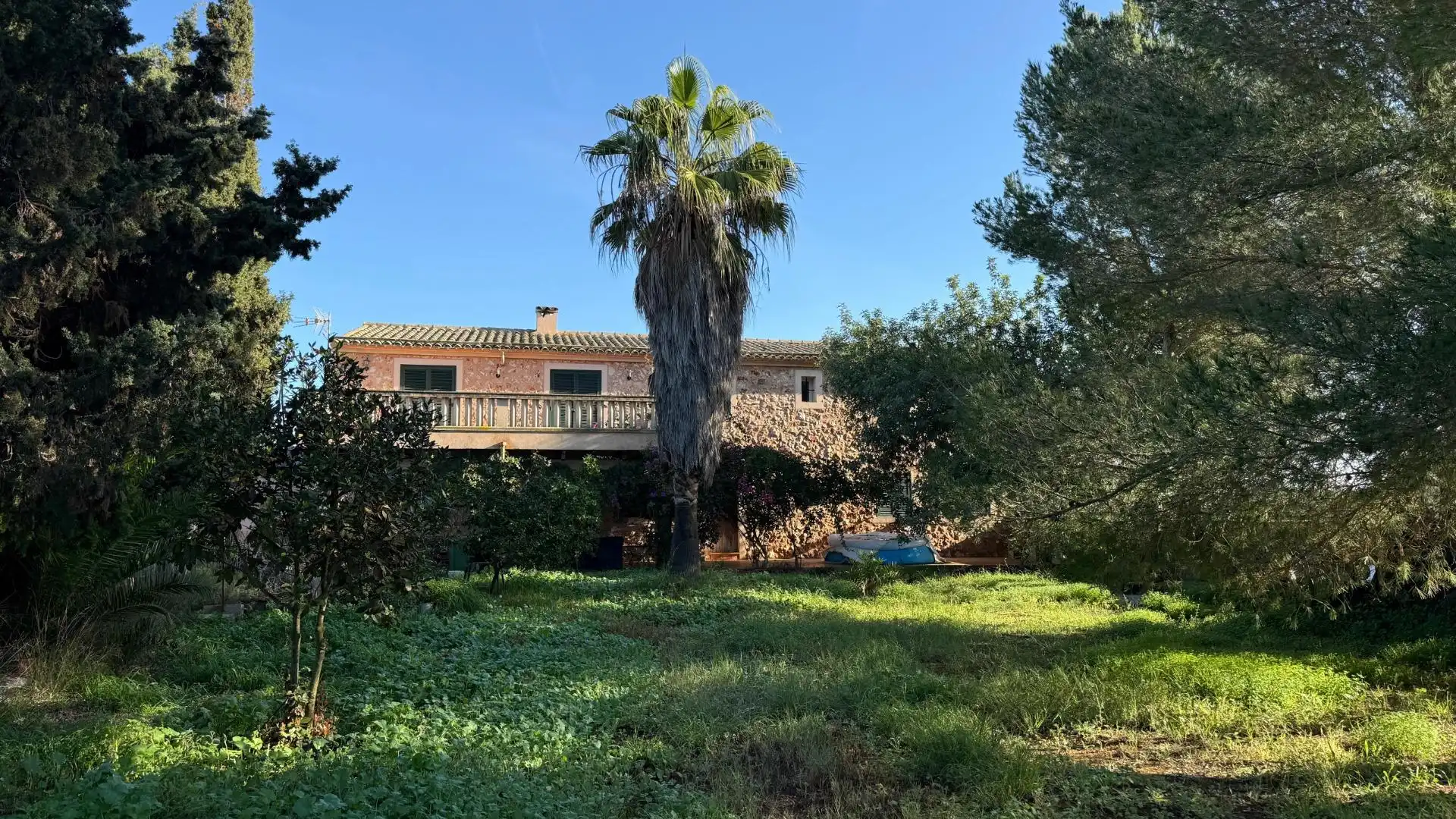Finca rústica en venta en Camino del palmer, 528, Zona Rústica - Interior