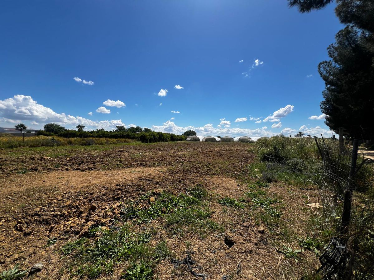 Country house zum verkauf in Los Palacios y Villafranca