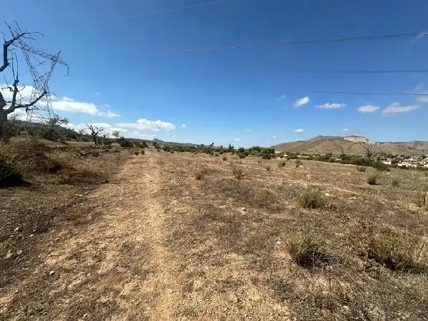 Terreno rústico en venta en Hondón de los Frailes, imagen 5