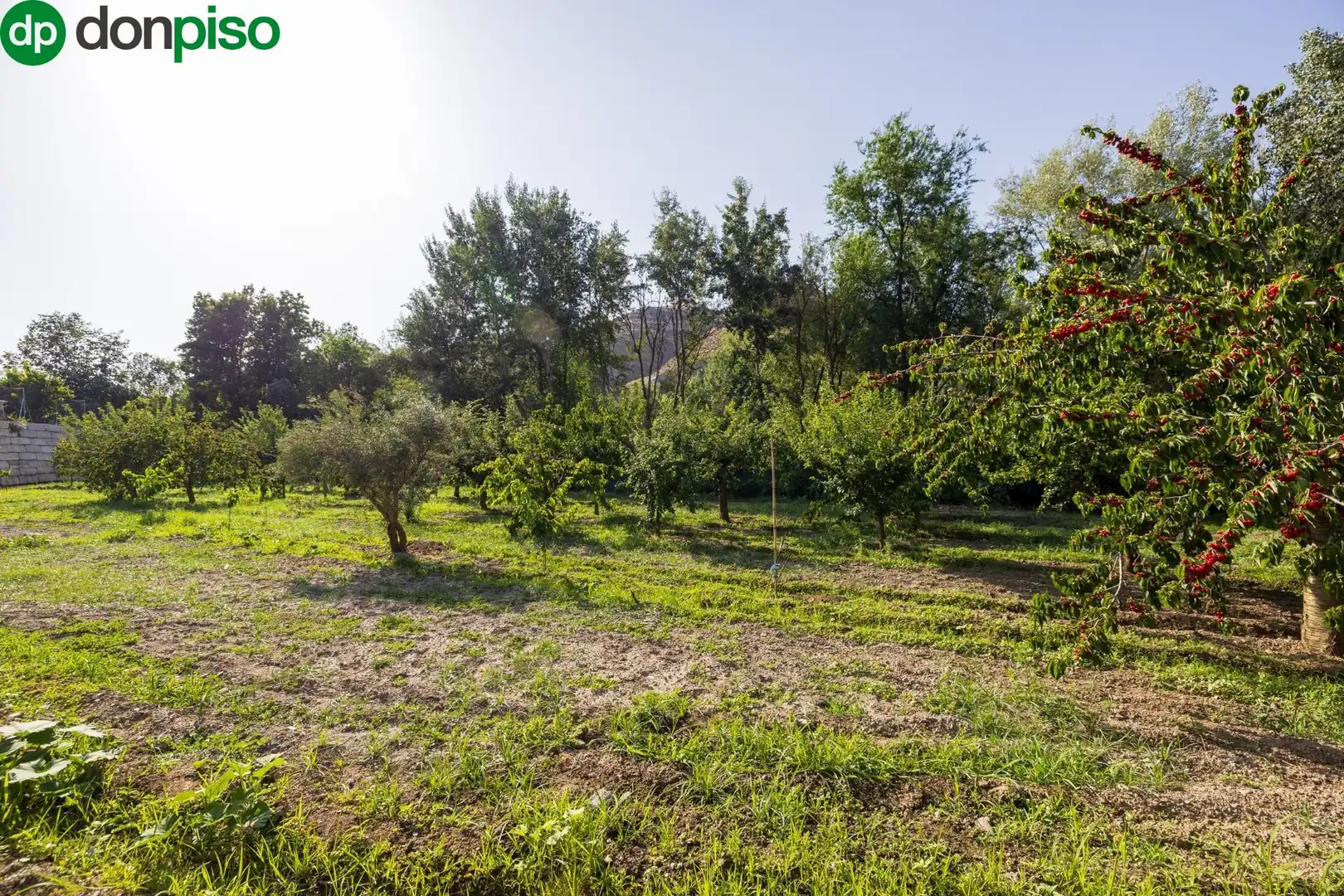 Terreno en venta en Paseo Paseo Duquesa, Pinos Genil