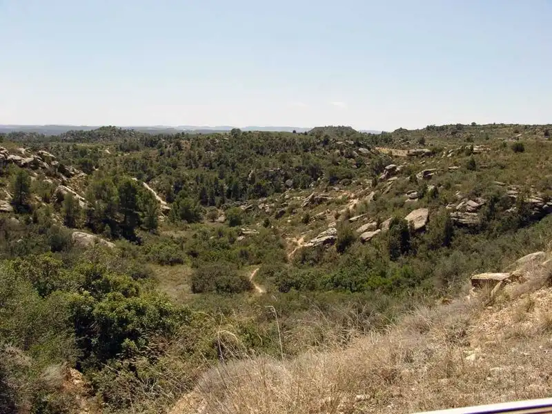 Finca rústica en venta en Alcañiz