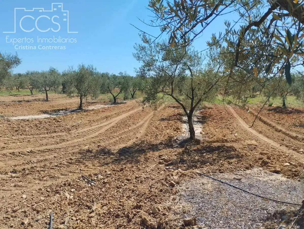 Terreni e lotti in vendita a Almonte ciudad, imagen 15