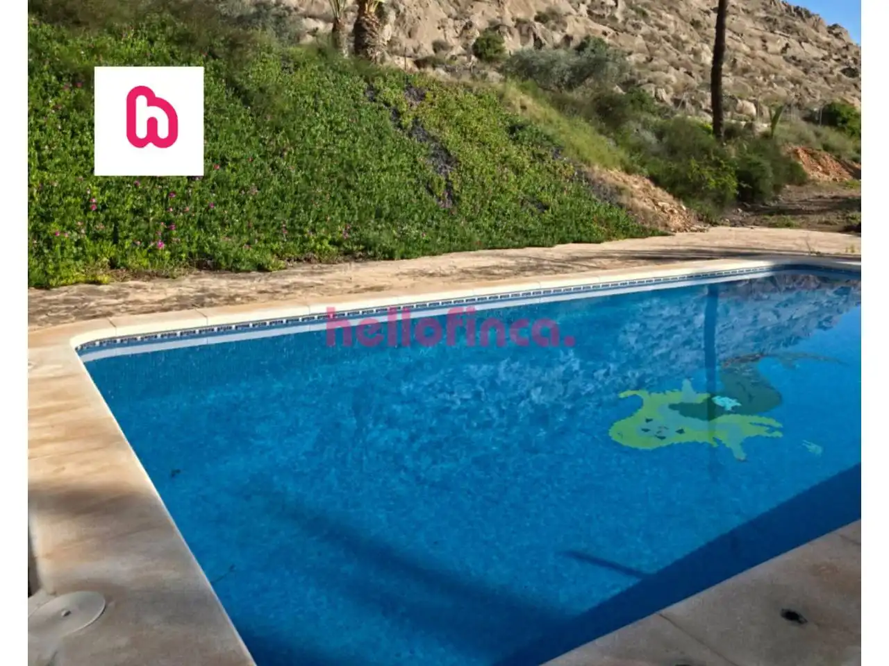Piscina de Finca rústica en venda en Orihuela amb Aire condicionat, Calefacció i Jardí privat
