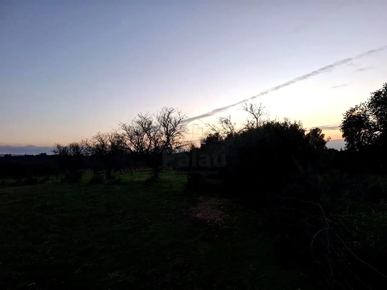 Rustikales Grundstück zum Verkauf in Felanitx Poble, imagen 9