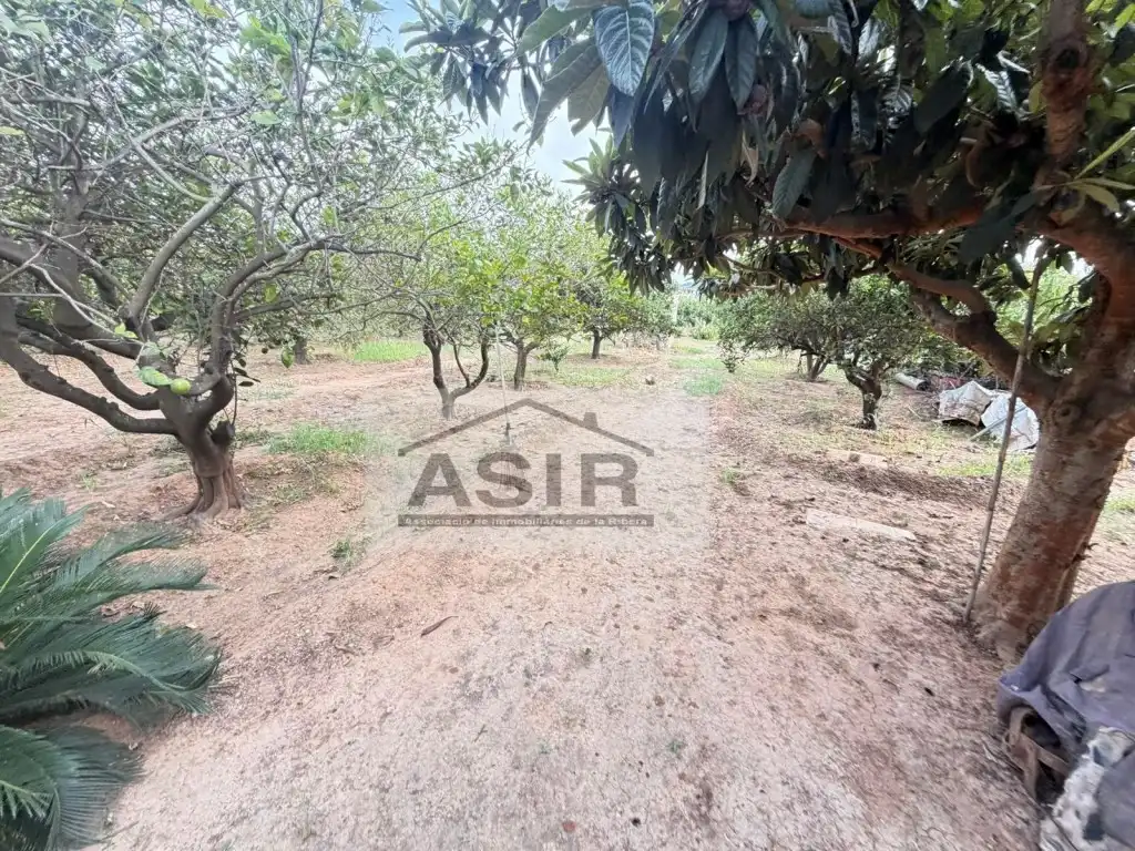 Houses for sale in Benicull de Xúquer