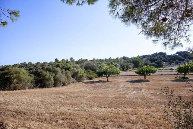 Terreno residencial en Venta en Son Xigala