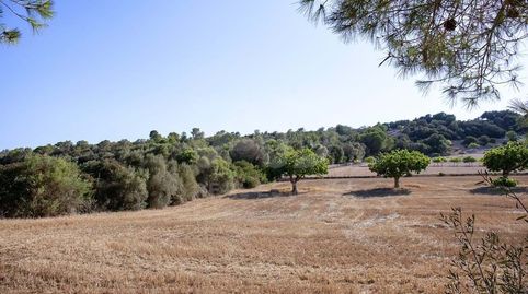 Foto 2 von Residential zum Verkauf in Son Xigala, Palma de Mallorca