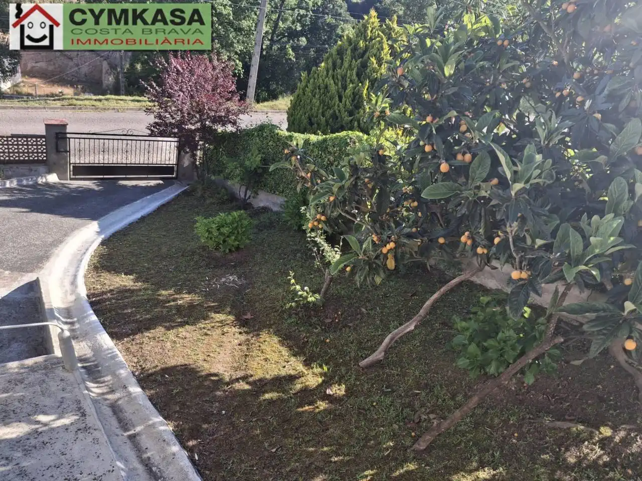 Maison avec piscine à vendre à Montbarbat, imagen 4