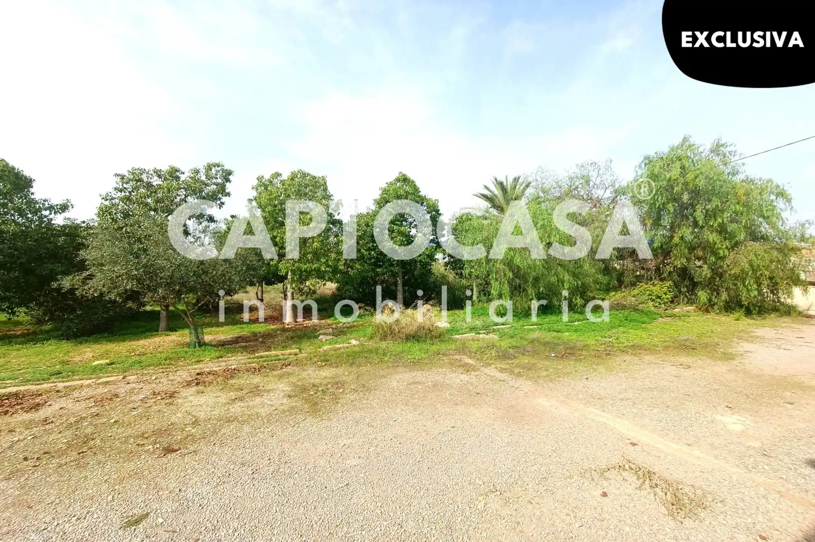Finca rústica en venta en La Palma