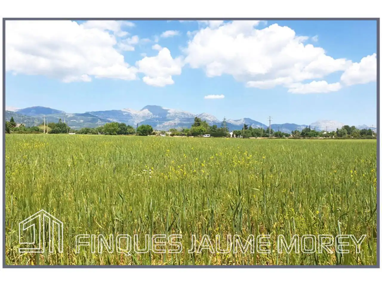 Residential for sale in Inca