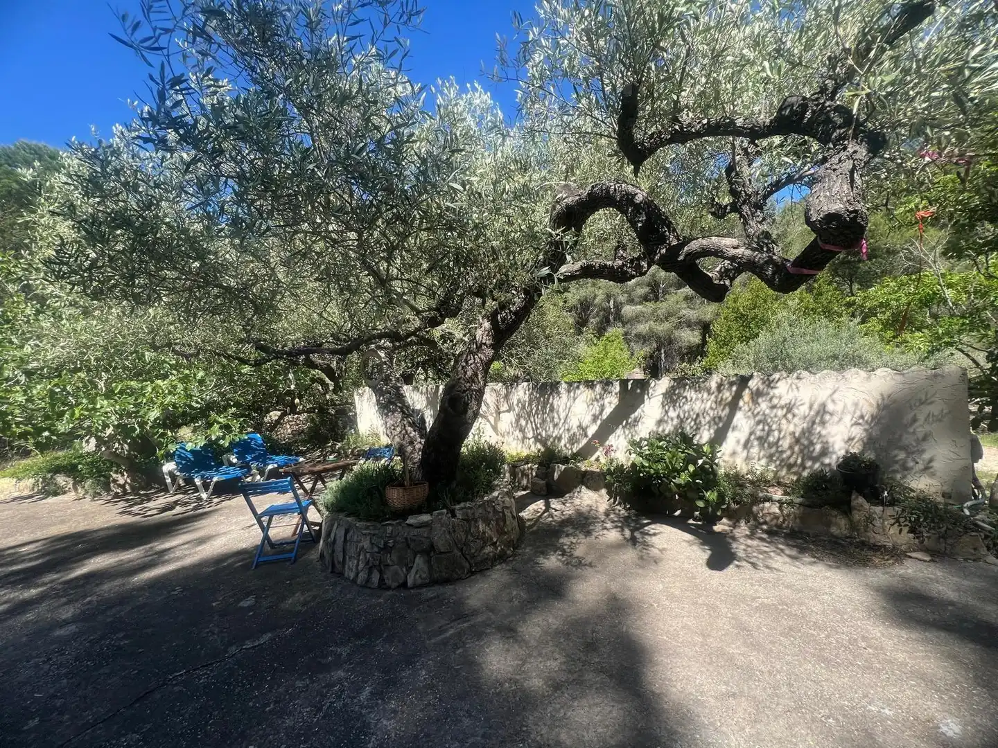 Maison rustique à vendre à Camino  Tivissa 51, imagen 6