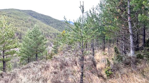 Foto 2 de Terreno en venta en Calle Madrid, Centro - Llano Samper, Jaca