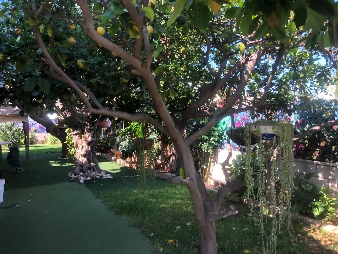 Jardín de Casa o chalet de alquiler en Dénia con Aire acondicionado, Calefacción y Jardín privado