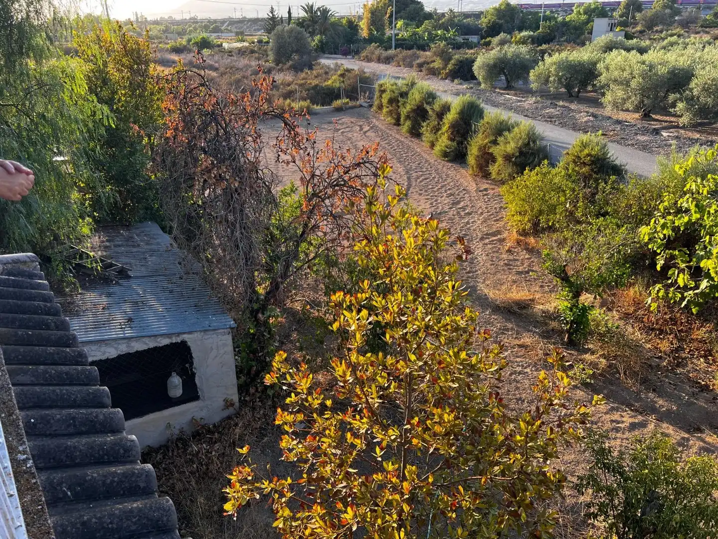 Casa o xalet en venda en Elche / Elx amb Jardí privat, Terrassa i Traster