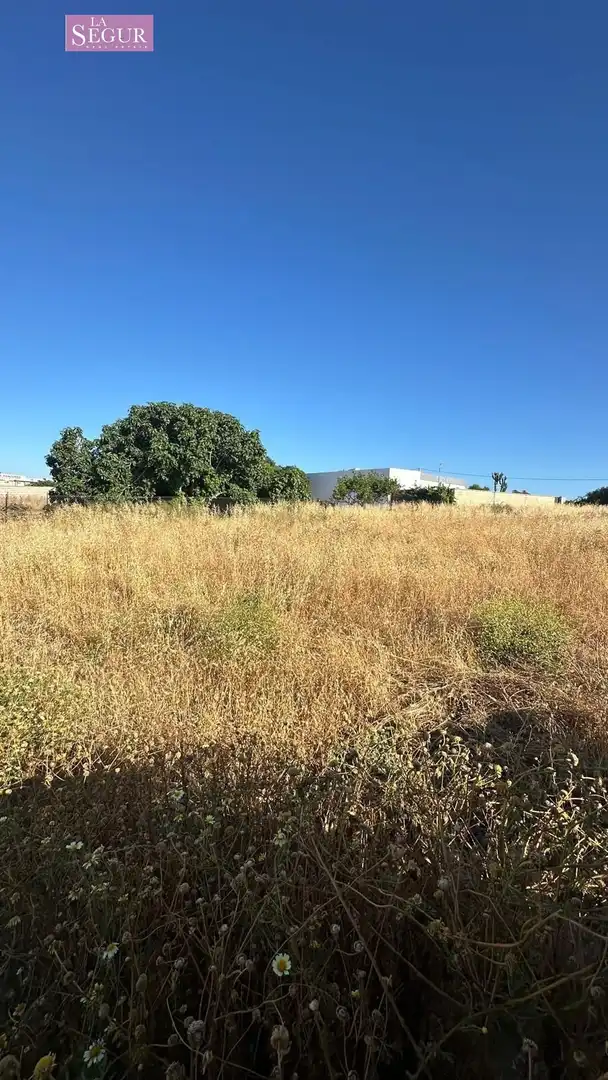 Grundstücke zum Verkauf in Conil de la Frontera