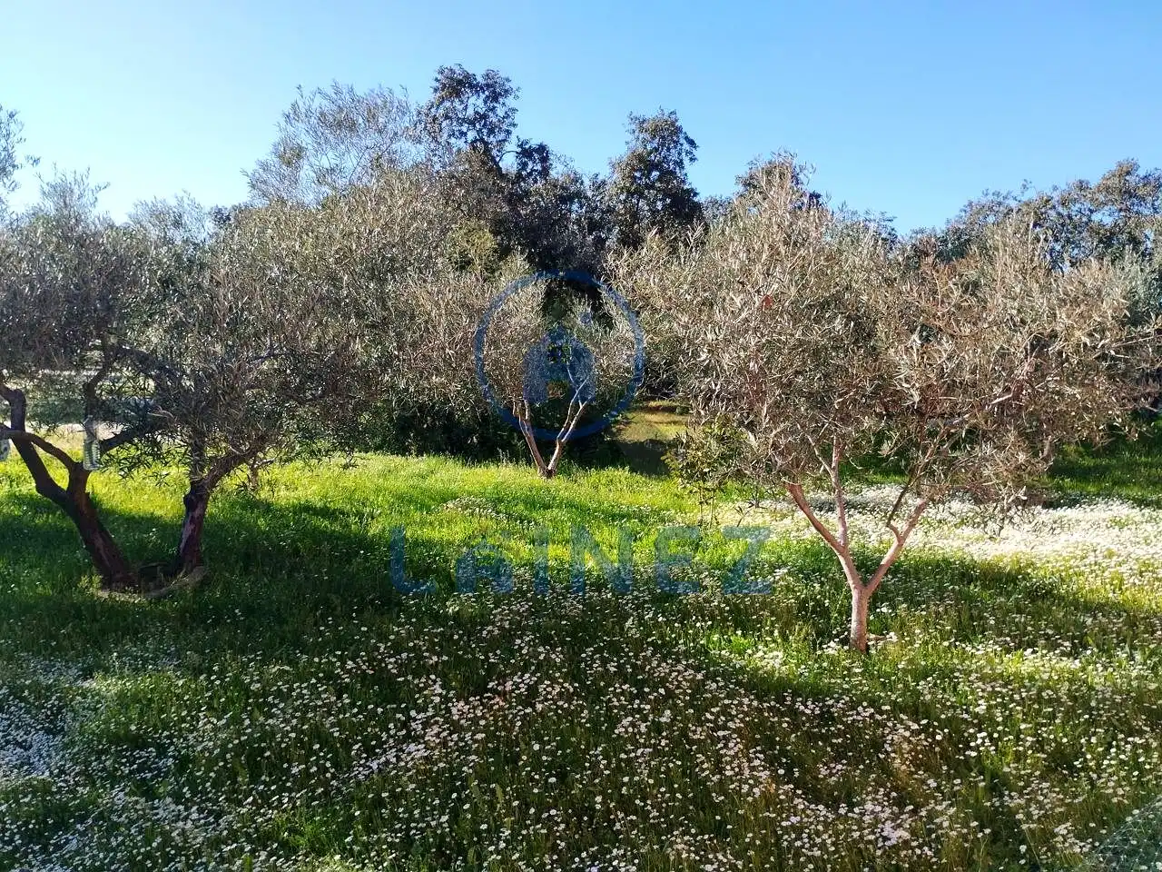 Residential for sale in Villanueva del Duque