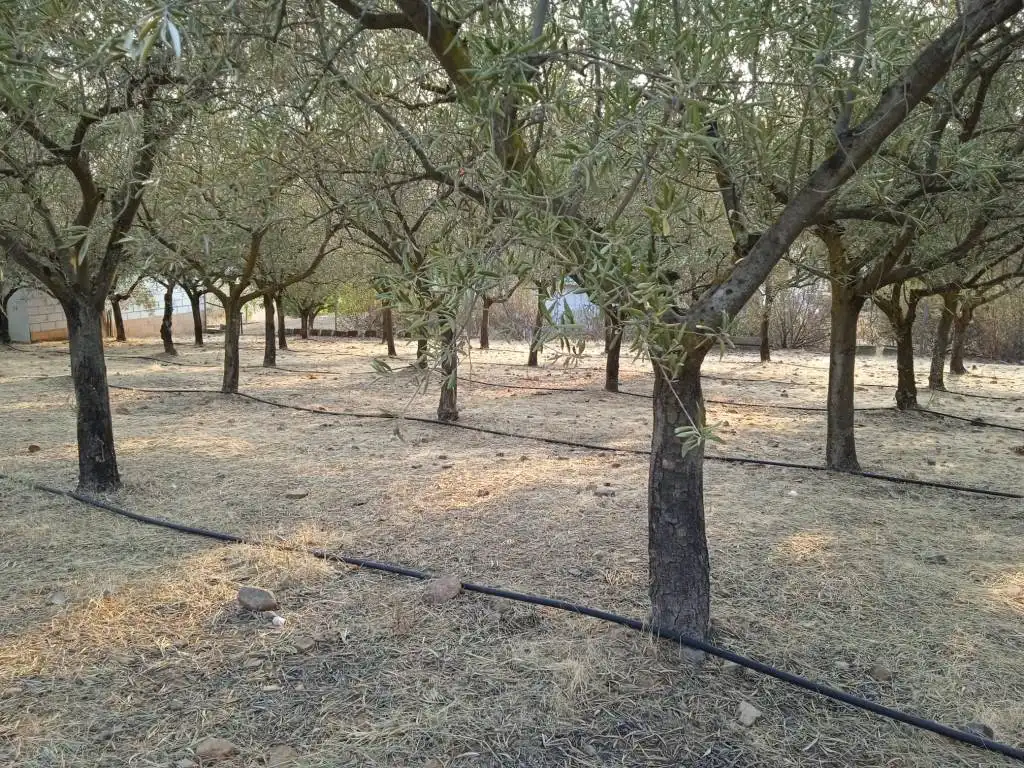 Xalet amb jardí en venda a Medellín, imagen 23
