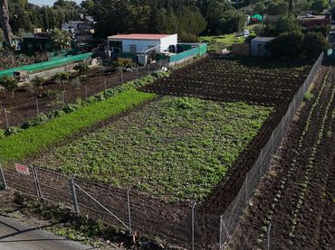 Terreni e lotti in vendita a Las Cabezas de San Juan