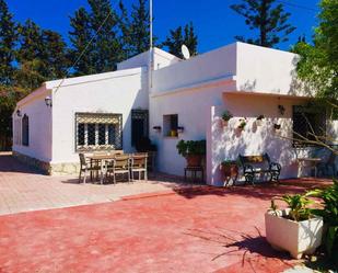 Jardí de Casa o xalet en venda en Alicante / Alacant
