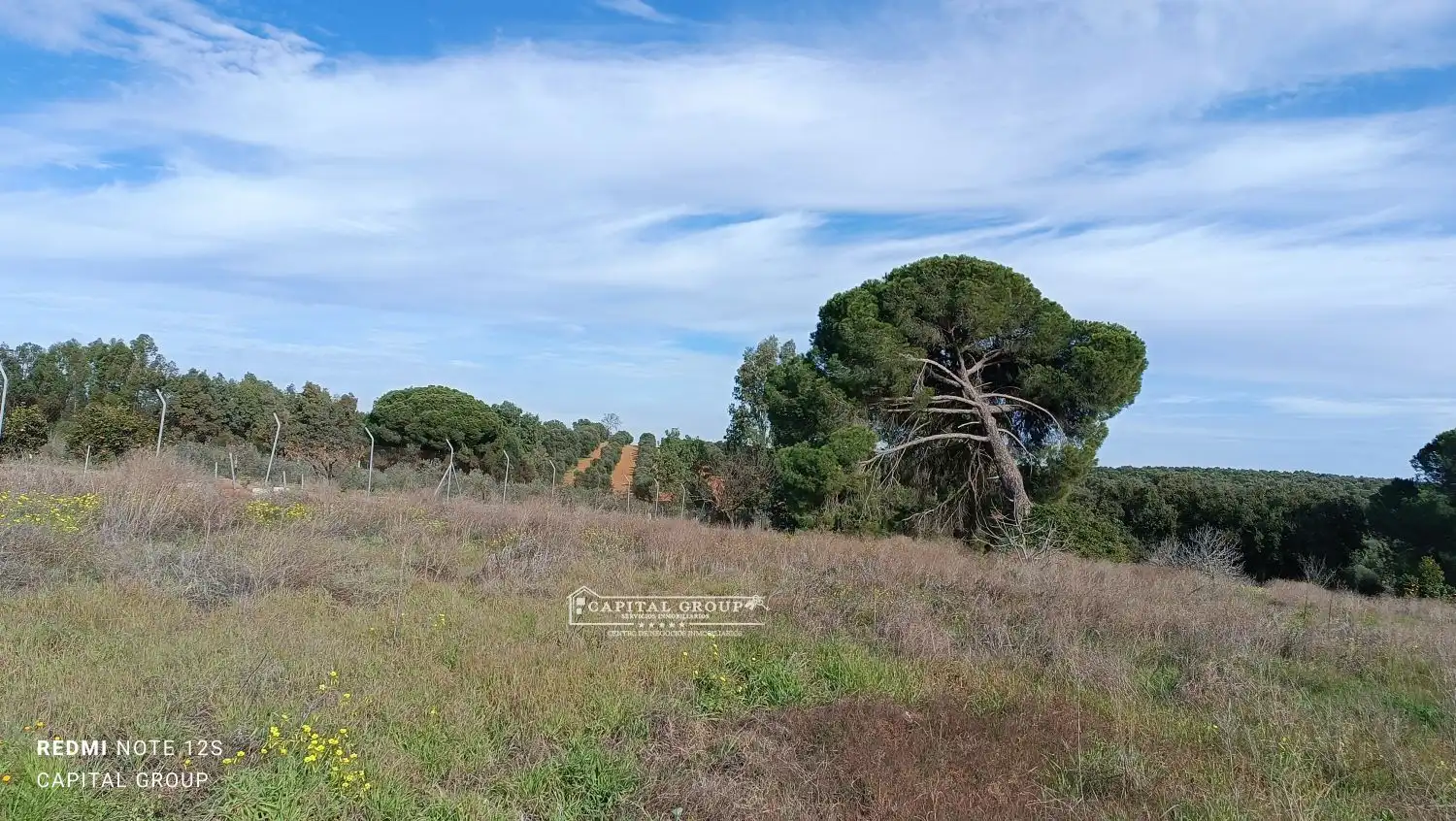 Terrenos y solares en venta en Gibraleón, imagen 37