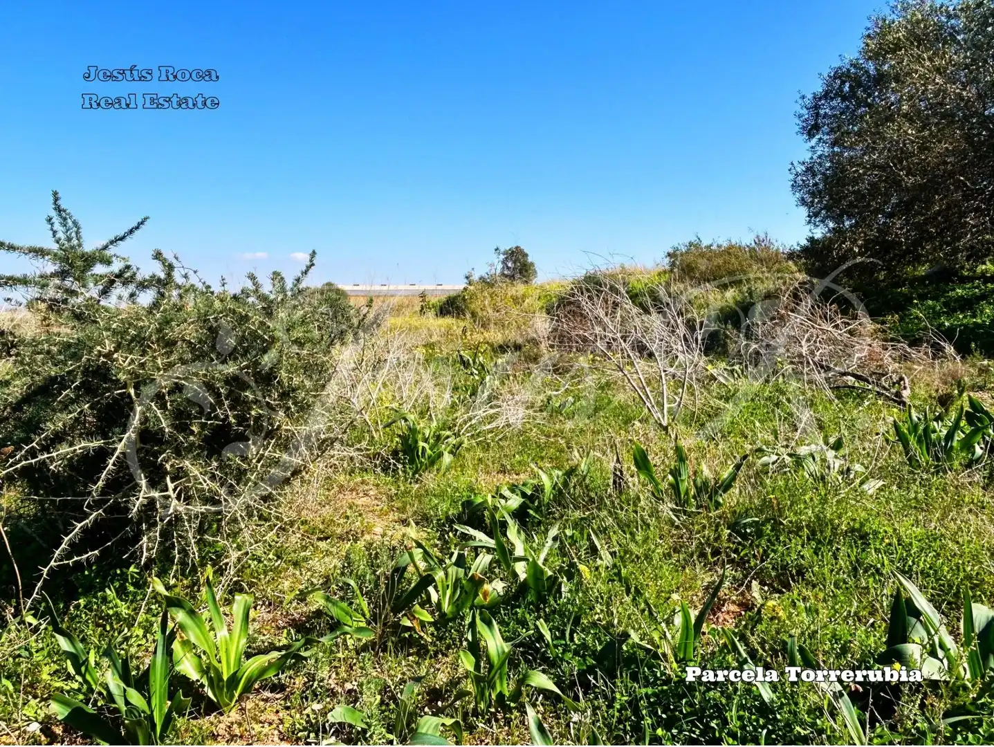 Terreno rustico in vendita a Pedanías Oeste, imagen 17