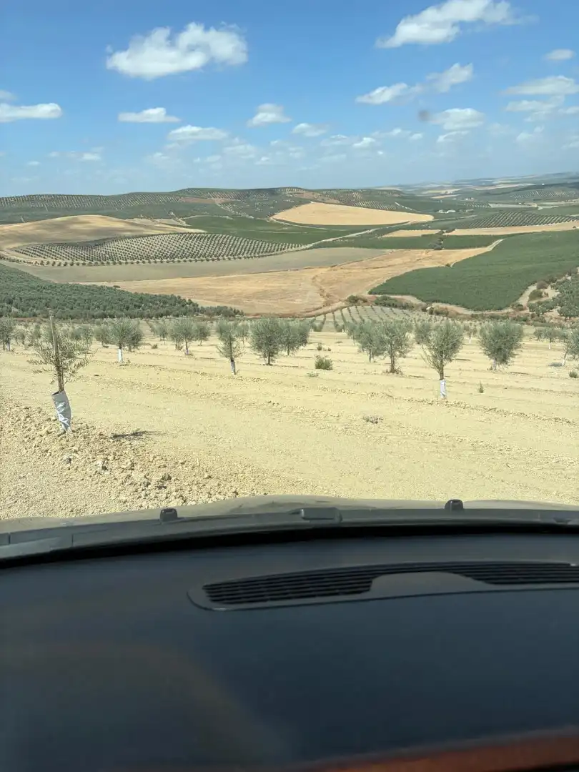 Terreno rustico in vendita a Montilla, imagen 7