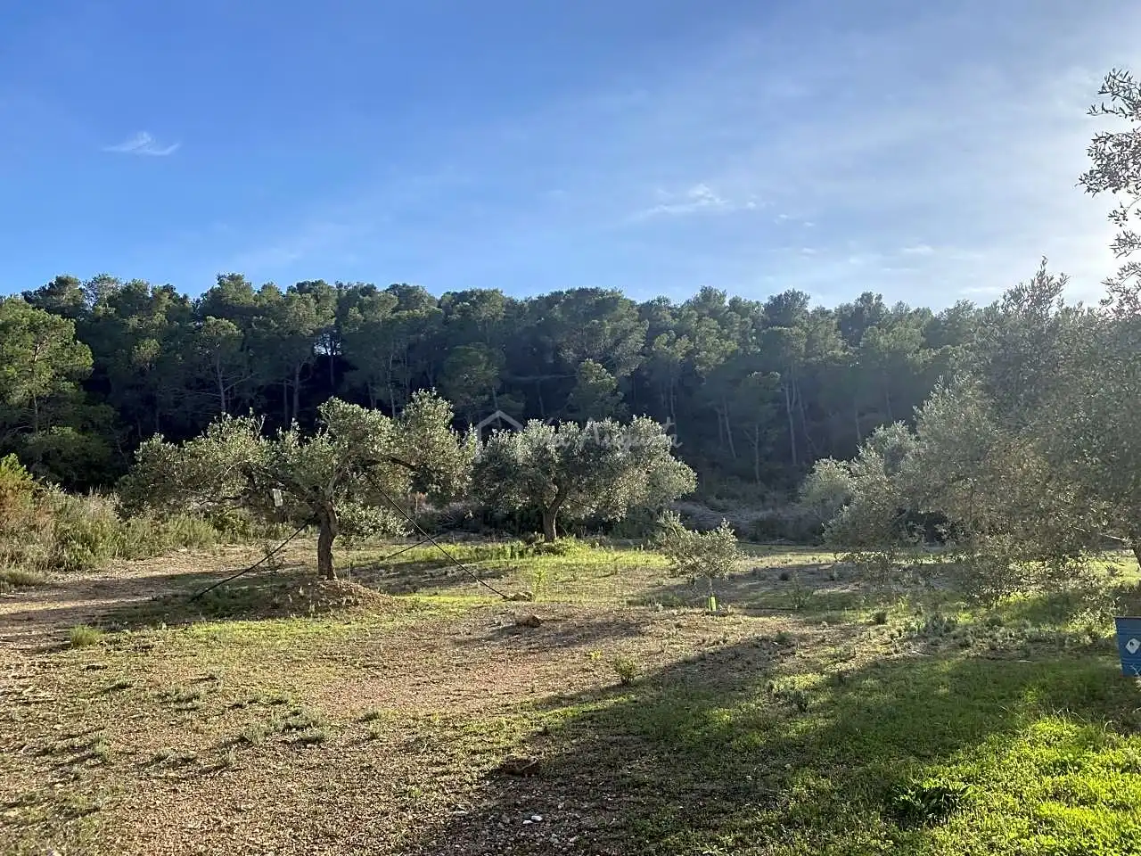 Terrain rustique à vendre à Burgà, imagen 10