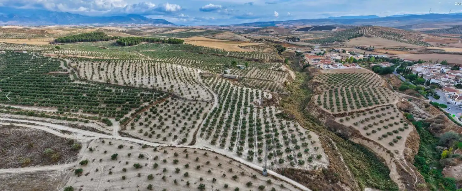 Finca rústica en venta en La Malahá