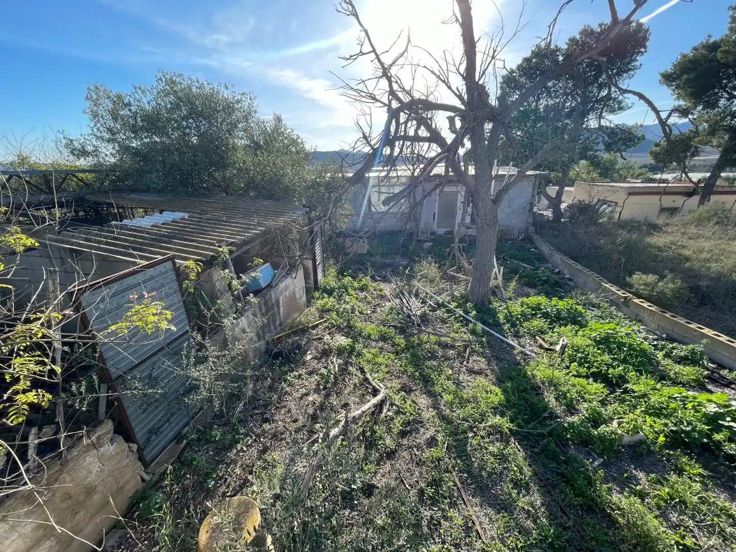 Land for sale in Aspe