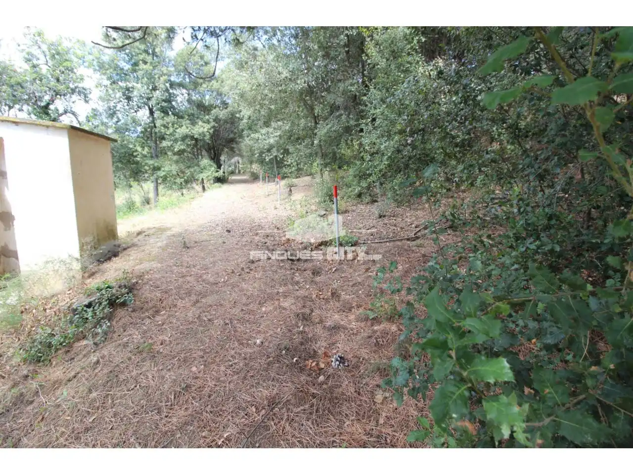 Residential land for sale in Avenida Àlbers, imagen 15