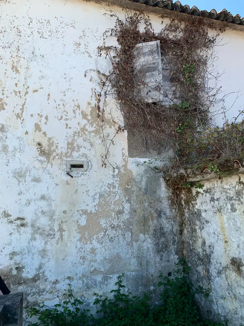 Vista exterior de Finca rústica en venda en Cedeira amb Jardí privat, Terrassa i Traster