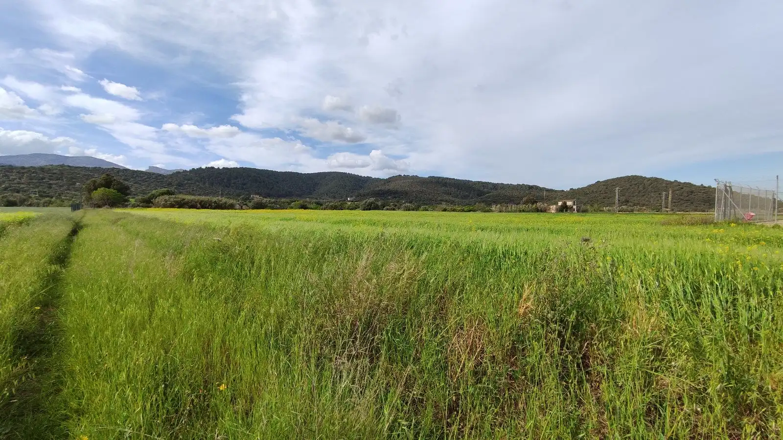 Terrain rustique à vendre à Campanet, imagen 7