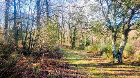 Foto 4 de Terreno en venta en Travesía Cuacos de Yuste, 12, Talayuela, Cáceres