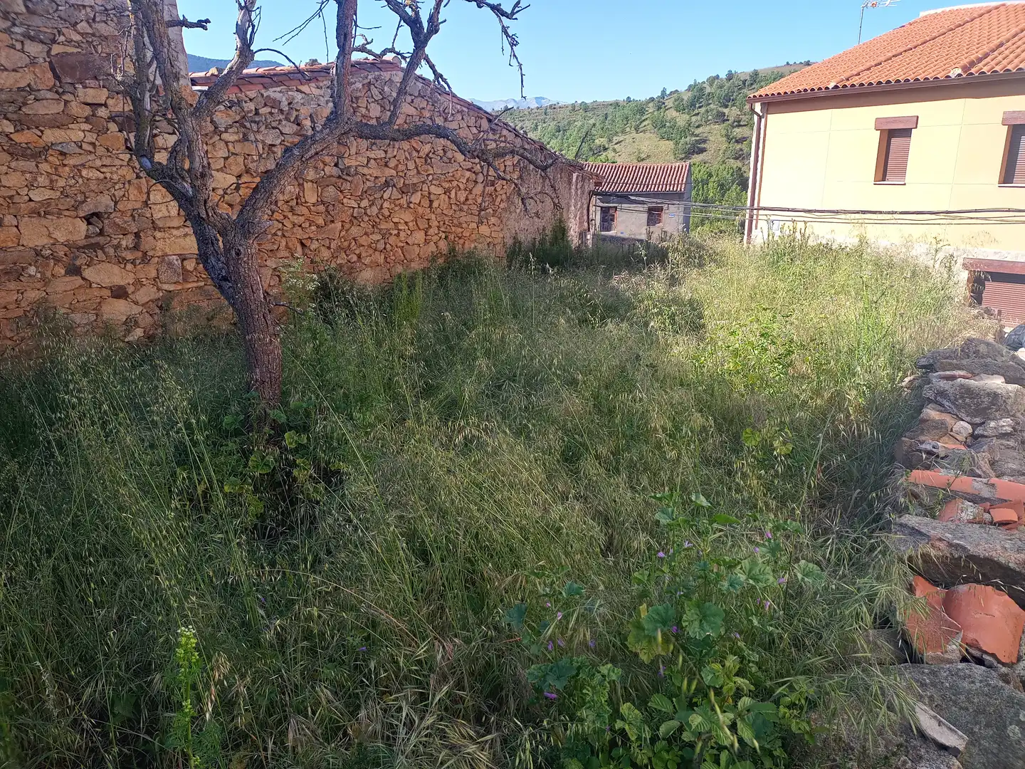 Country homes for sale in Los Llanos de Tormes 