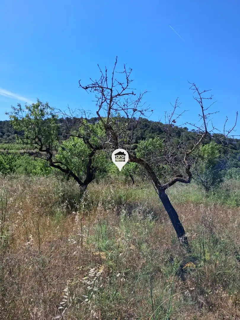 Land for sale in Madrid