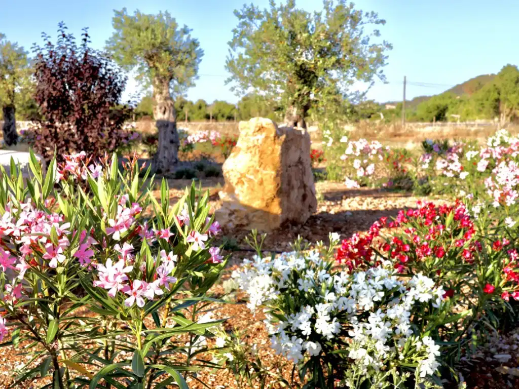 Jardí de Finca rústica en venda en Capdepera amb Jardí privat, Piscina i Forn
