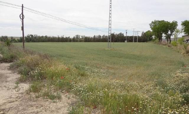 Terreno en Venta en  CTRA. FUENTIDUEÑA DE TAJO CON ESTREMERA en Estremera