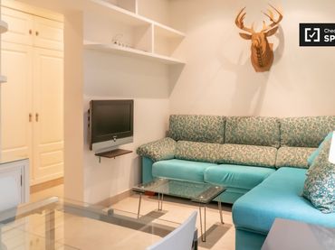 Wohnung zur Miete in Barrio de Salamanca