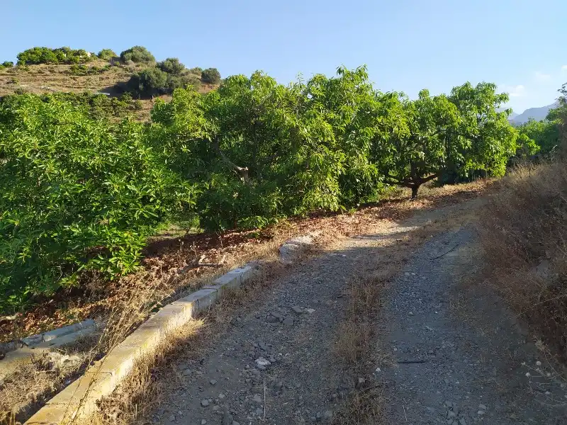 Rural land for sale in Calle de la Molineta 25, imagen 4