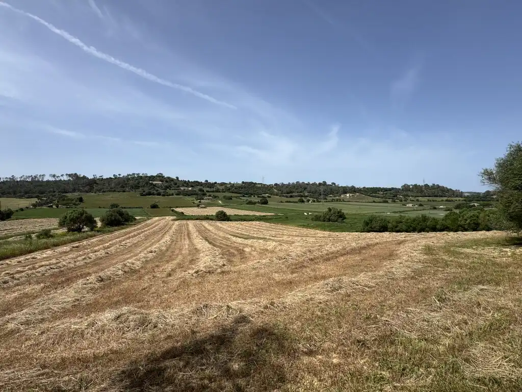 Terreny rústic en venda a Sineu, imagen 13